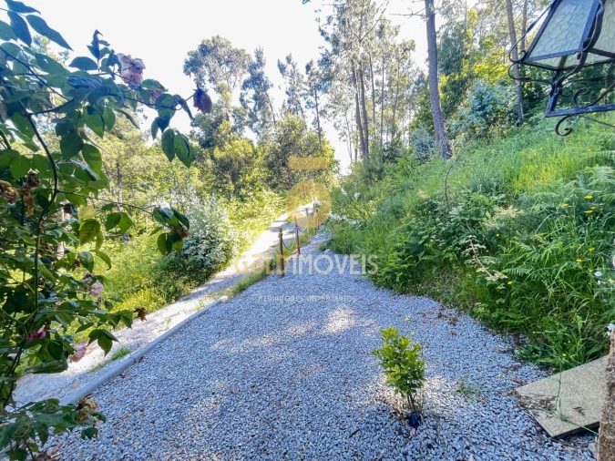 Terreno Agricola ou Rústico para Venda em Santiago de Piães Foto 31
