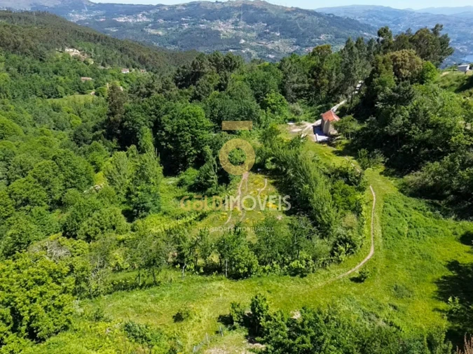 Terreno Agricola ou Rústico para Venda em Santiago de Piães Foto 11