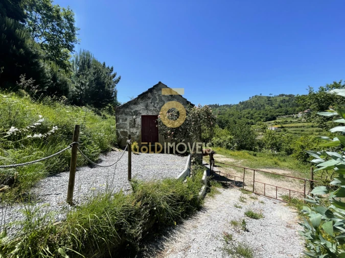 Terreno Agricola ou Rústico para Venda em Santiago de Piães Foto 24