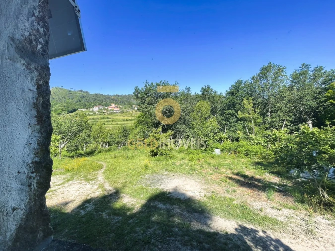 Terreno Agricola ou Rústico para Venda em Santiago de Piães Foto 10