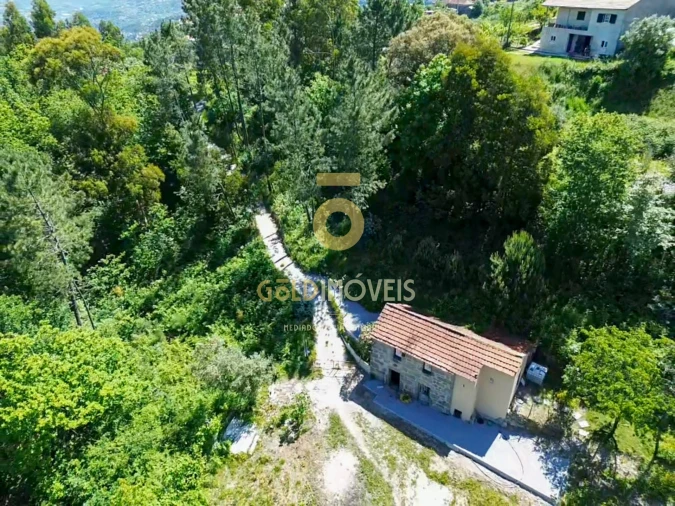 Terreno Agricola ou Rústico para Venda em Santiago de Piães Foto 8