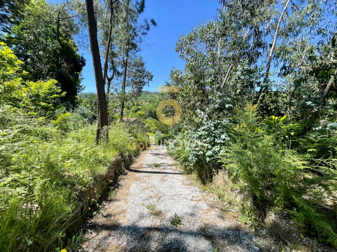 Terreno Agricola ou Rústico para Venda em Santiago de Piães Foto 17