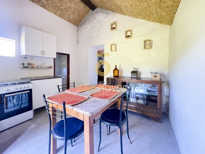 Terreno Agricola ou Rústico para Venda em Santiago de Piães Foto 4