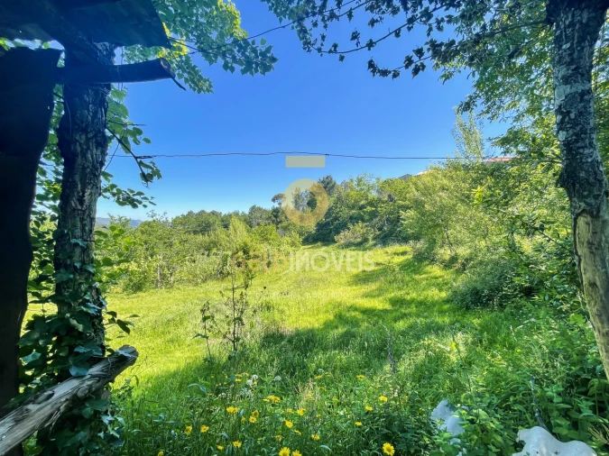 Terreno Agricola ou Rústico para Venda em Santiago de Piães Foto 16