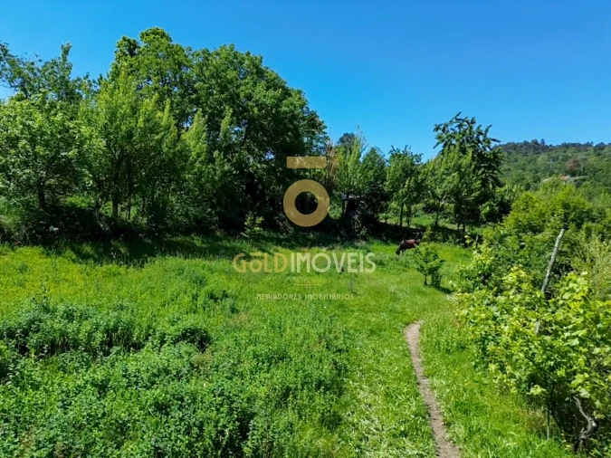 Terreno Agricola ou Rústico para Venda em Santiago de Piães Foto 13