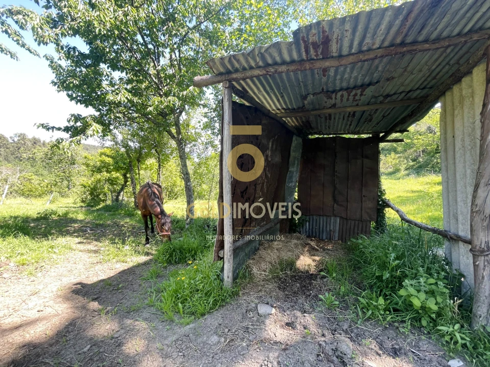 Terreno Agricola ou Rústico para Venda em Santiago de Piães Foto 19