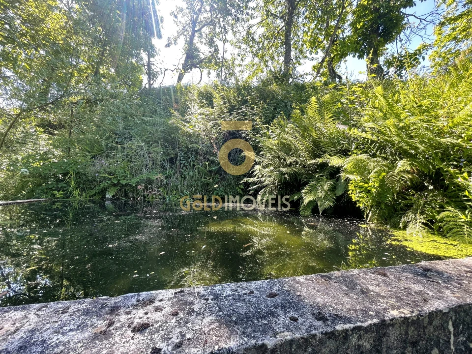 Terreno Agricola ou Rústico para Venda em Santiago de Piães Foto 21