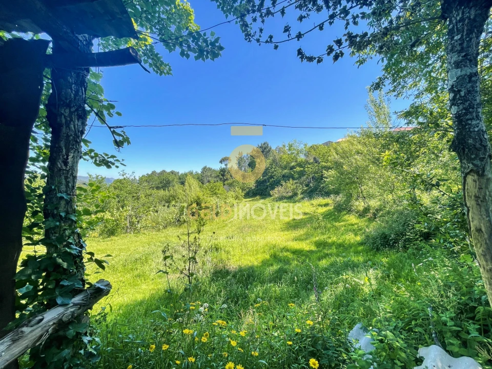 Terreno Agricola ou Rústico para Venda em Santiago de Piães Foto 16
