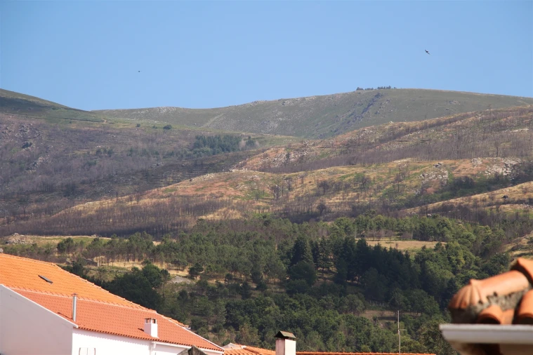 Apartamento T3 para Venda em Gouveia (São Pedro e São Julião) Foto 10