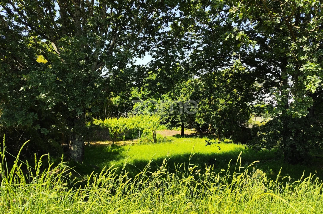 Quinta T5 para Venda em Vila Nova do Campo Foto 49