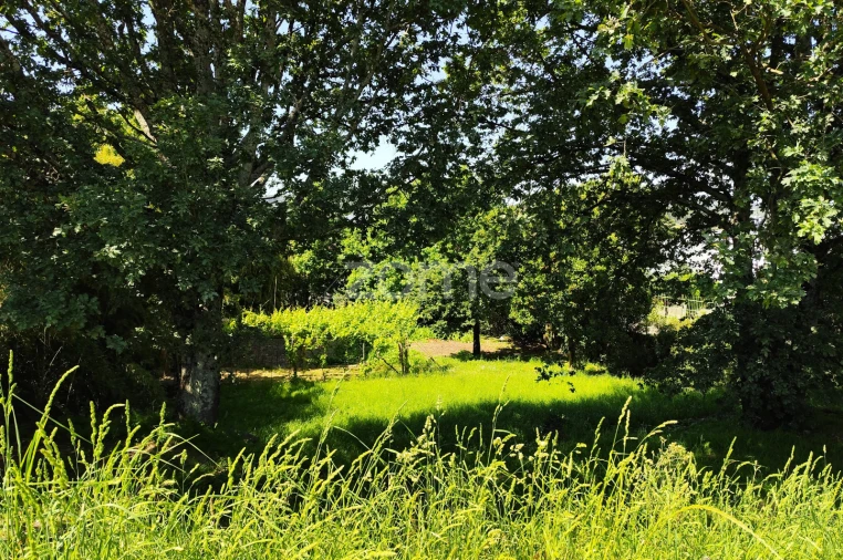 Quinta T5 para Venda em Vila Nova do Campo Foto 49