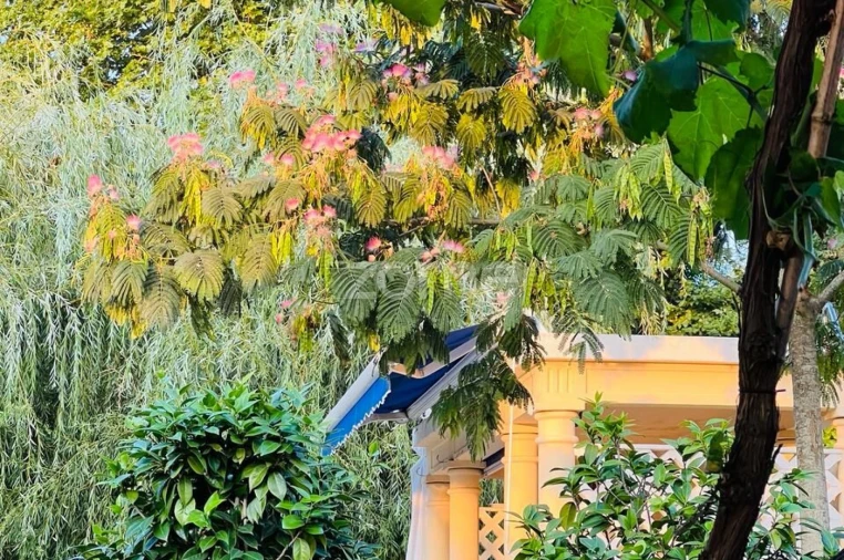 Quinta T5 para Venda em Vila Nova do Campo Foto 21