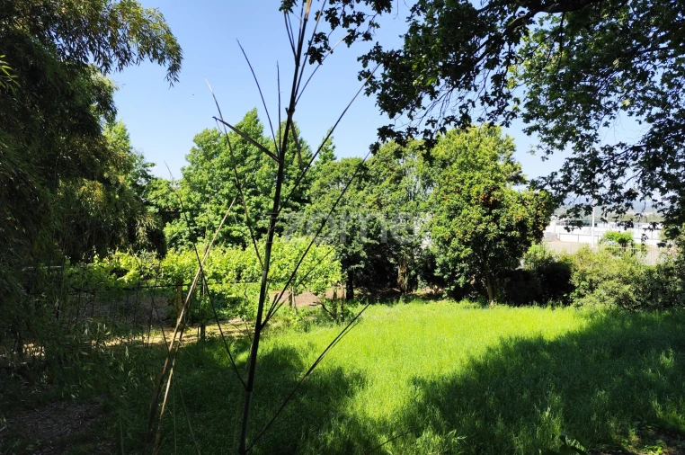 Quinta T5 para Venda em Vila Nova do Campo Foto 48