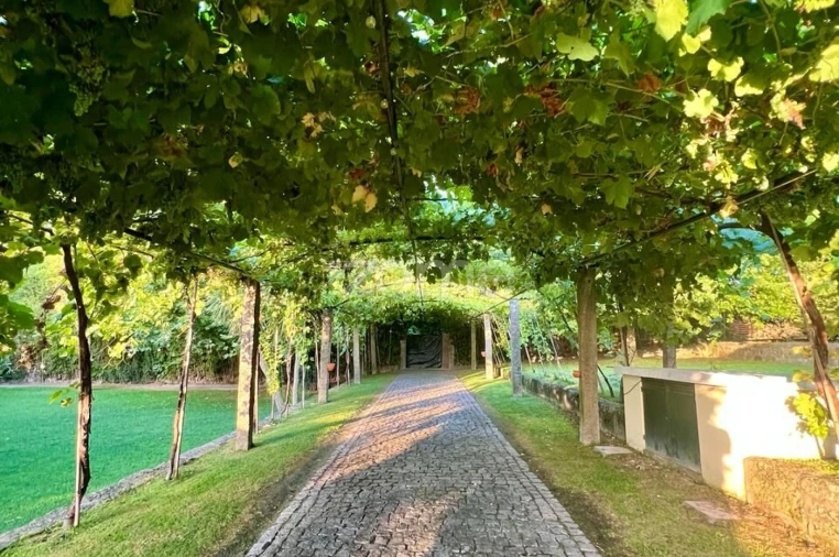 Quinta T5 para Venda em Vila Nova do Campo Foto 54