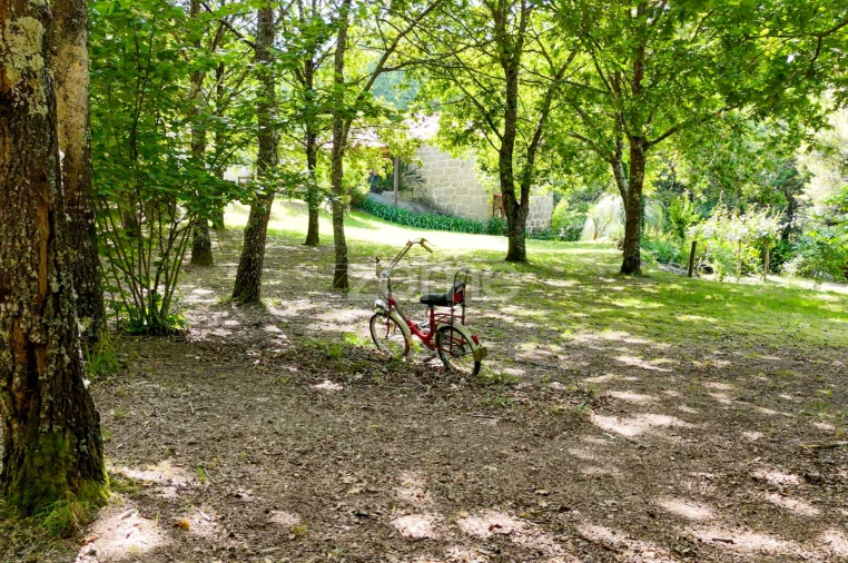 Quinta T6 para Venda em Ovoa e Vimieiro Foto 7