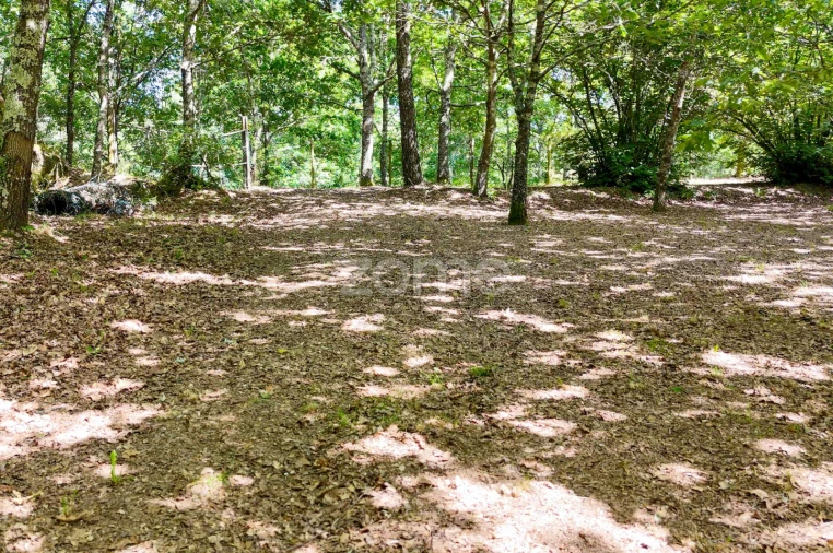 Quinta T6 para Venda em Ovoa e Vimieiro Foto 19