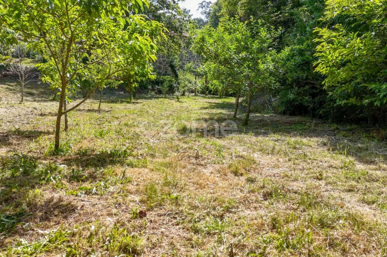 Quinta T6 para Venda em Ovoa e Vimieiro Foto 20