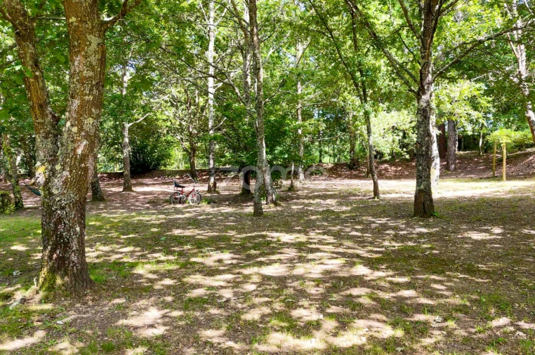 Quinta T6 para Venda em Ovoa e Vimieiro Foto 22