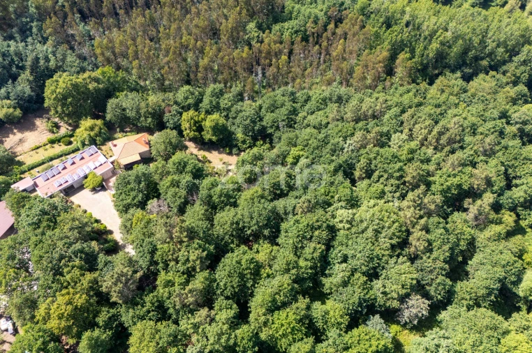 Quinta T6 para Venda em Ovoa e Vimieiro Foto 18