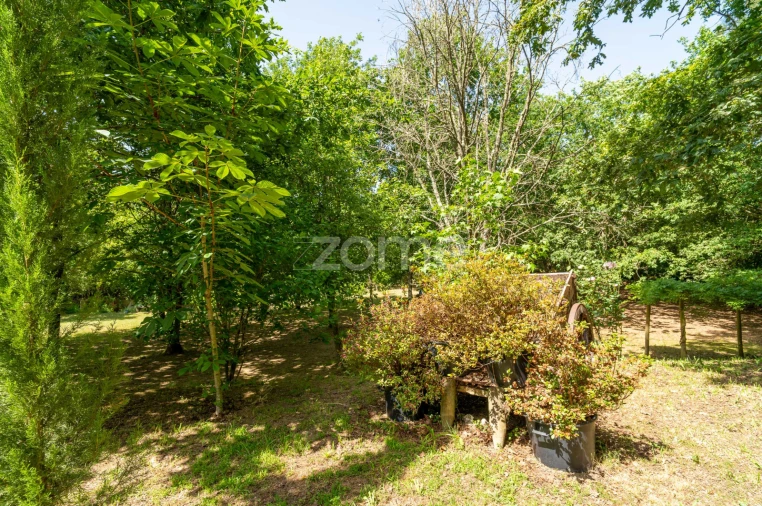 Quinta T6 para Venda em Ovoa e Vimieiro Foto 24