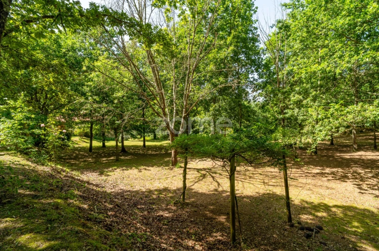 Quinta T6 para Venda em Ovoa e Vimieiro Foto 25