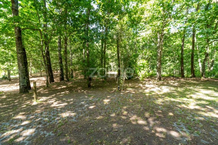 Quinta T6 para Venda em Ovoa e Vimieiro Foto 26