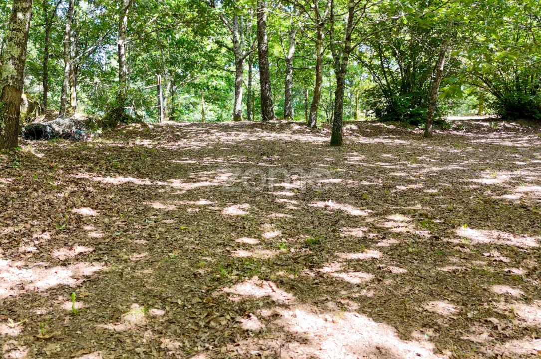 Quinta T6 para Venda em Ovoa e Vimieiro Foto 19