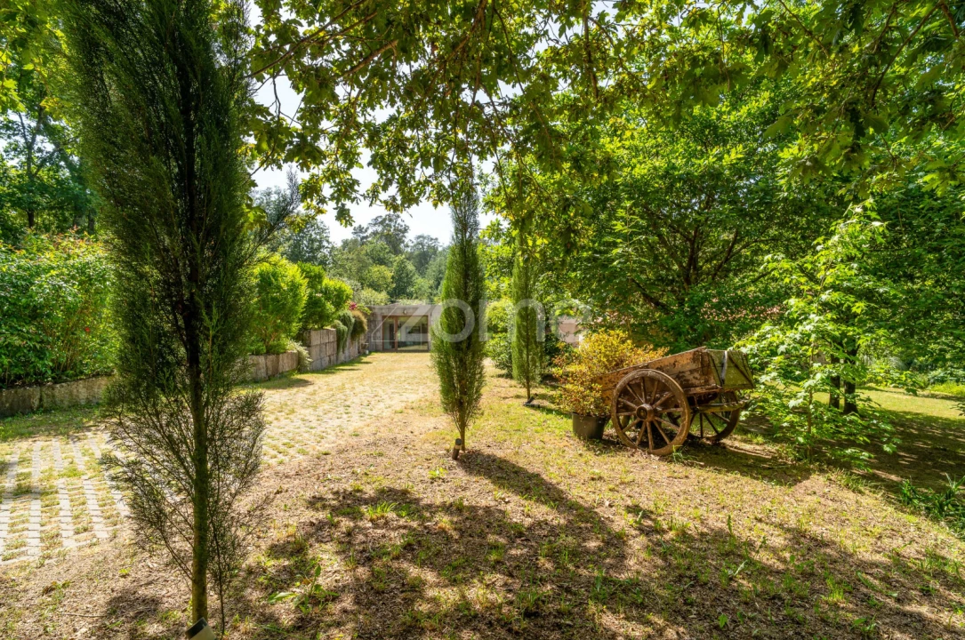 Quinta T6 para Venda em Ovoa e Vimieiro Foto 5