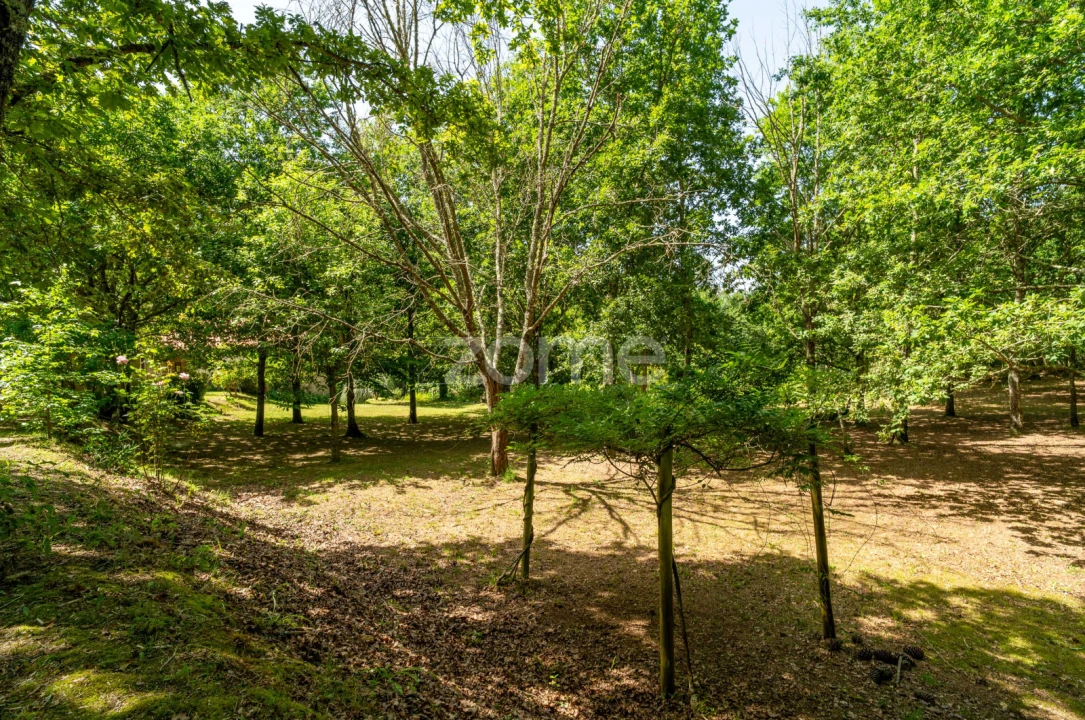 Quinta T6 para Venda em Ovoa e Vimieiro Foto 25