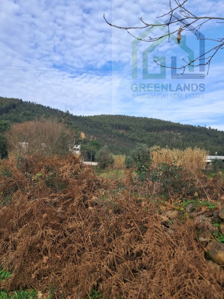 Terreno para Venda em Vila Nova do Ceira Foto 4