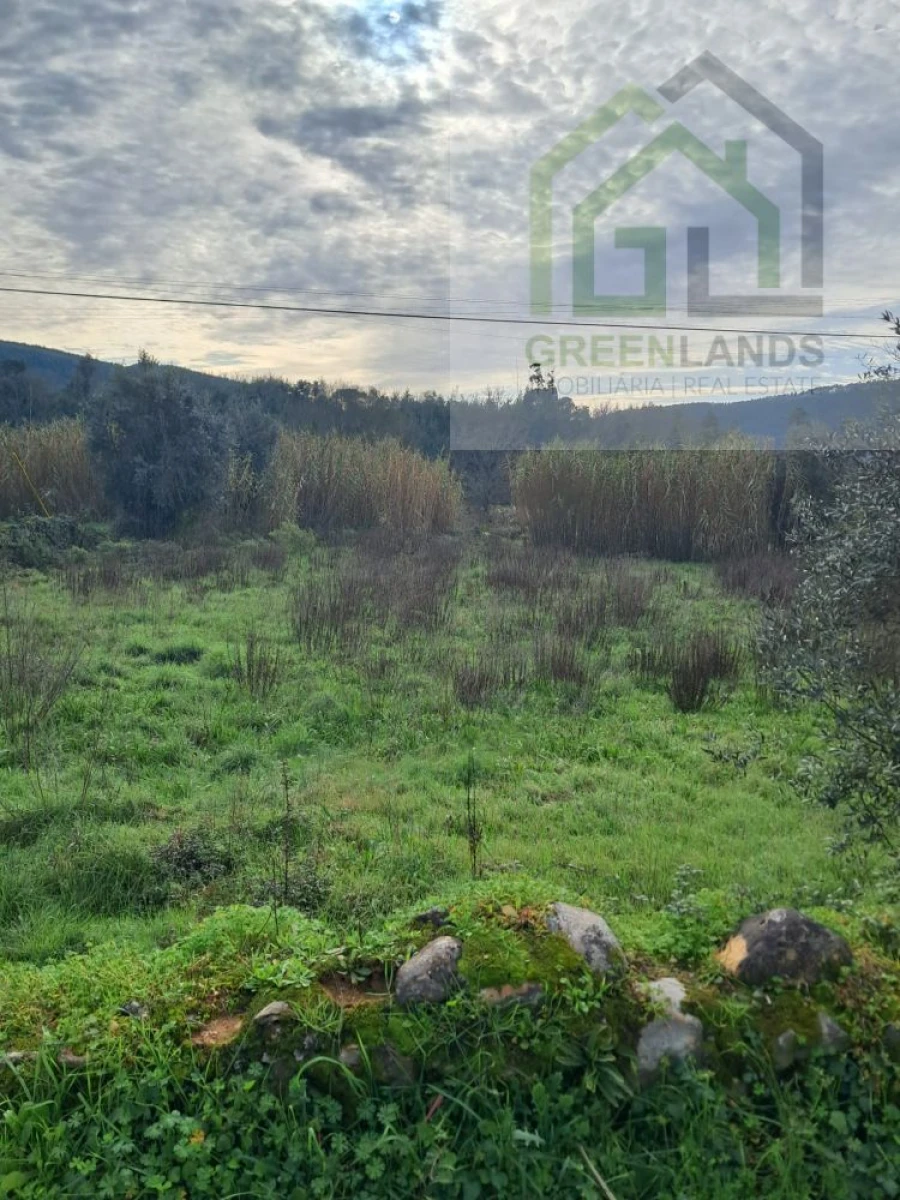 Terreno para Venda em Vila Nova do Ceira Foto 9