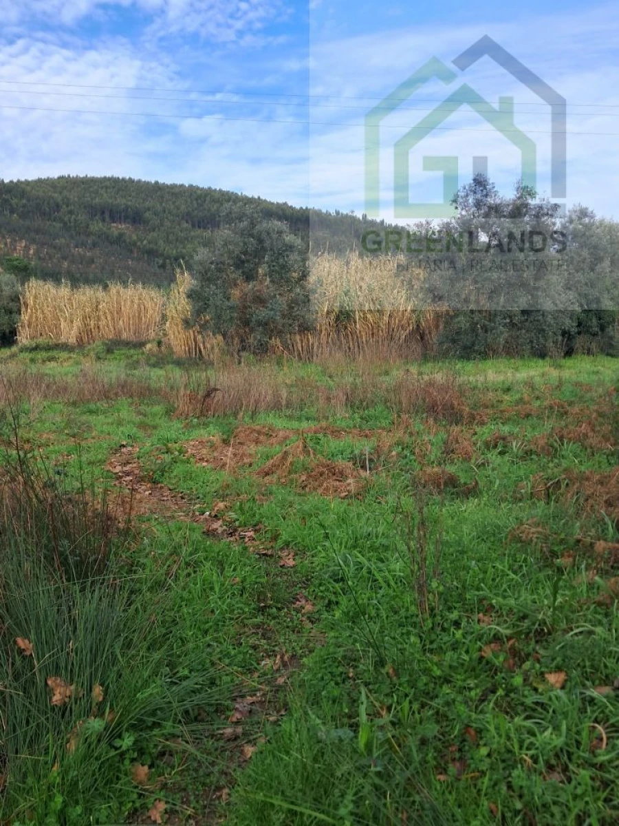 Terreno para Venda em Vila Nova do Ceira Foto 2