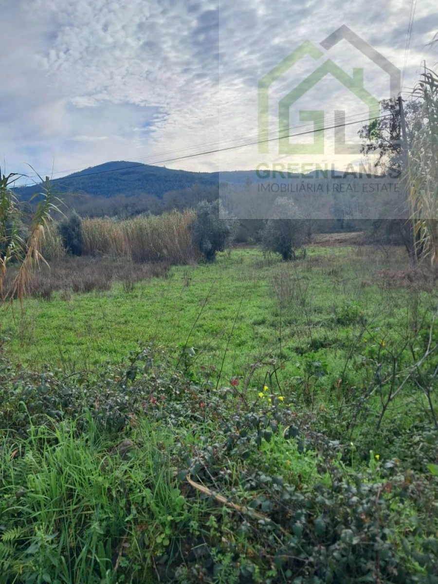 Terreno para Venda em Vila Nova do Ceira Foto 8