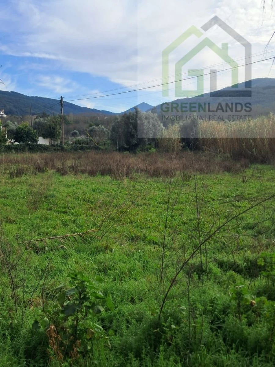 Terreno para Venda em Vila Nova do Ceira