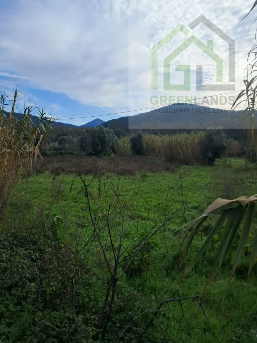 Terreno para Venda em Vila Nova do Ceira Foto 6