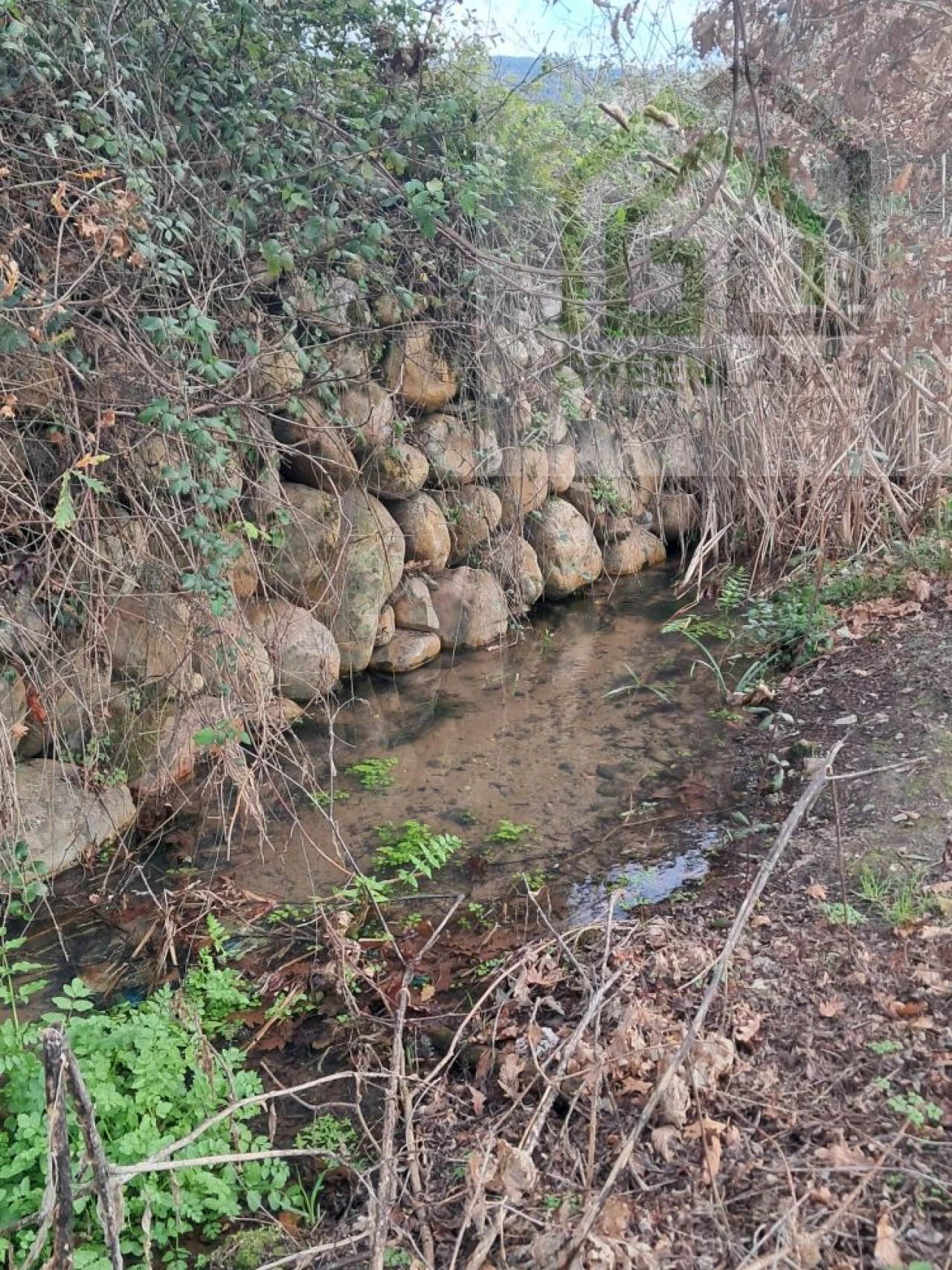Terreno para Venda em Vila Nova do Ceira Foto 5