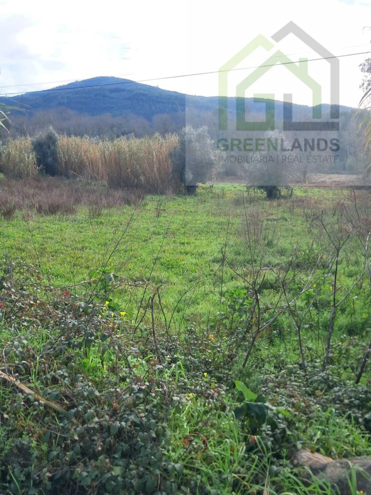 Terreno para Venda em Vila Nova do Ceira Foto 3