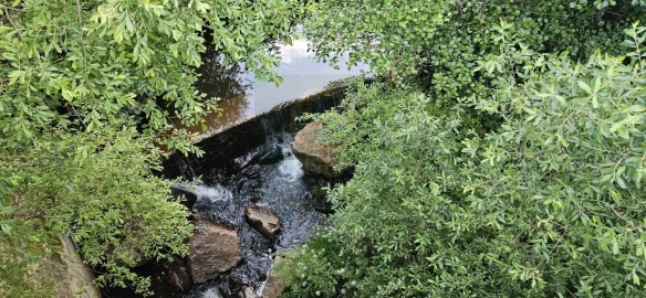 Terreno para Venda em Ninho do Açor e Sobral do Campo
