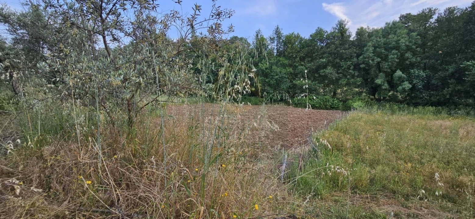Terreno para Venda em Ninho do Açor e Sobral do Campo Foto 19