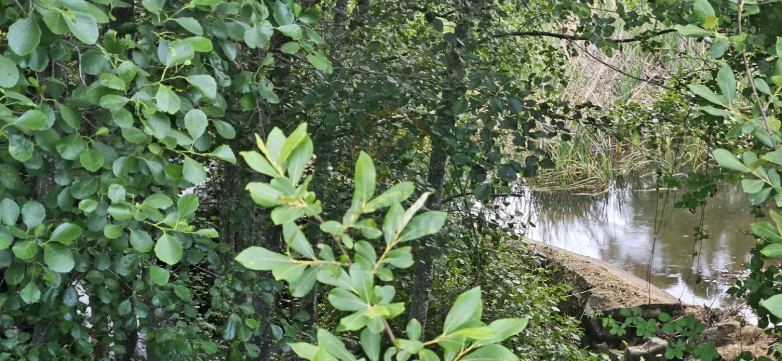 Terreno para Venda em Ninho do Açor e Sobral do Campo Foto 8