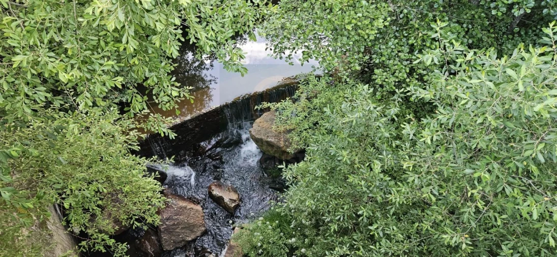 Terreno para Venda em Ninho do Açor e Sobral do Campo Foto 15