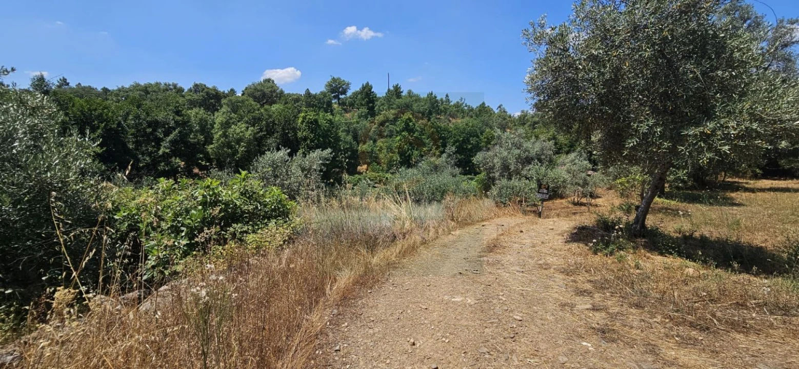 Terreno para Venda em Ninho do Açor e Sobral do Campo Foto 2