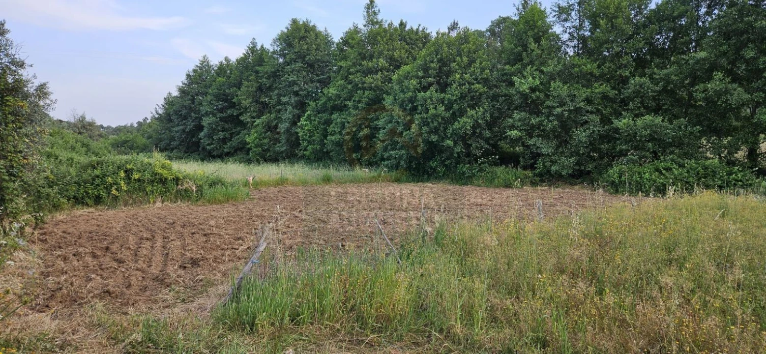 Terreno para Venda em Ninho do Açor e Sobral do Campo Foto 1