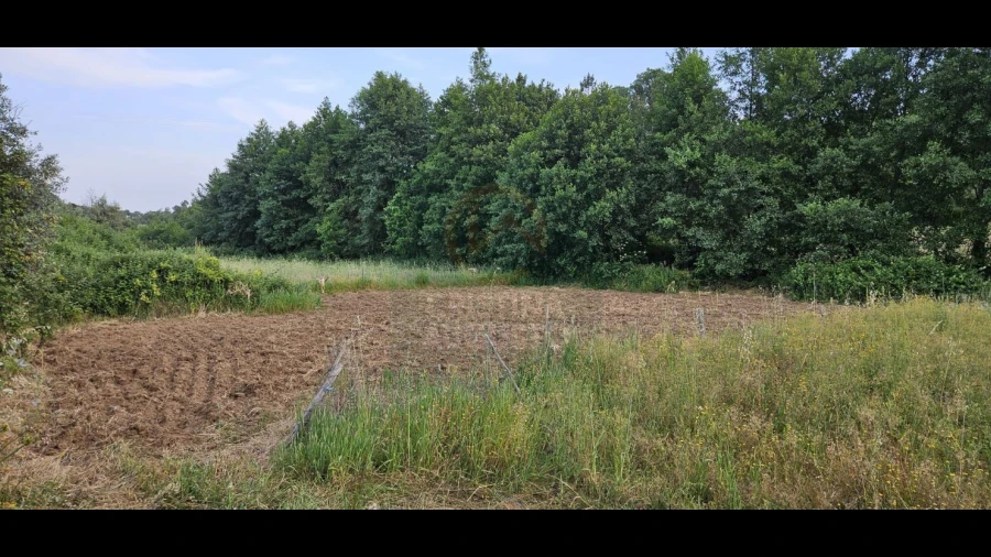 Terreno para Venda em Ninho do Açor e Sobral do Campo
