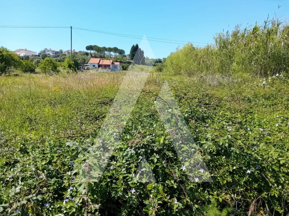 Terreno para Venda em Mealhada, Ventosa do Bairro e Antes Foto 1
