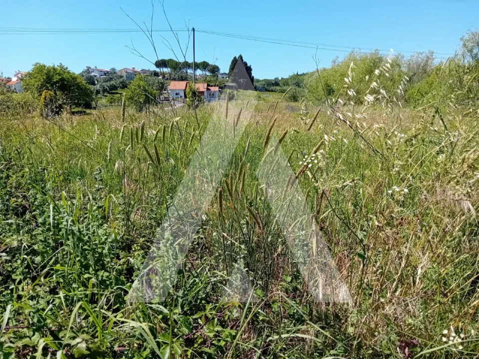 Terreno para Venda em Mealhada, Ventosa do Bairro e Antes Foto 4