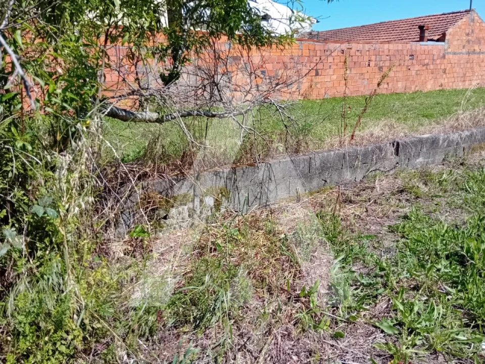 Terreno para Venda em Mealhada, Ventosa do Bairro e Antes Foto 3