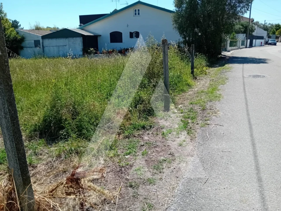 Terreno para Venda em Mealhada, Ventosa do Bairro e Antes Foto 4