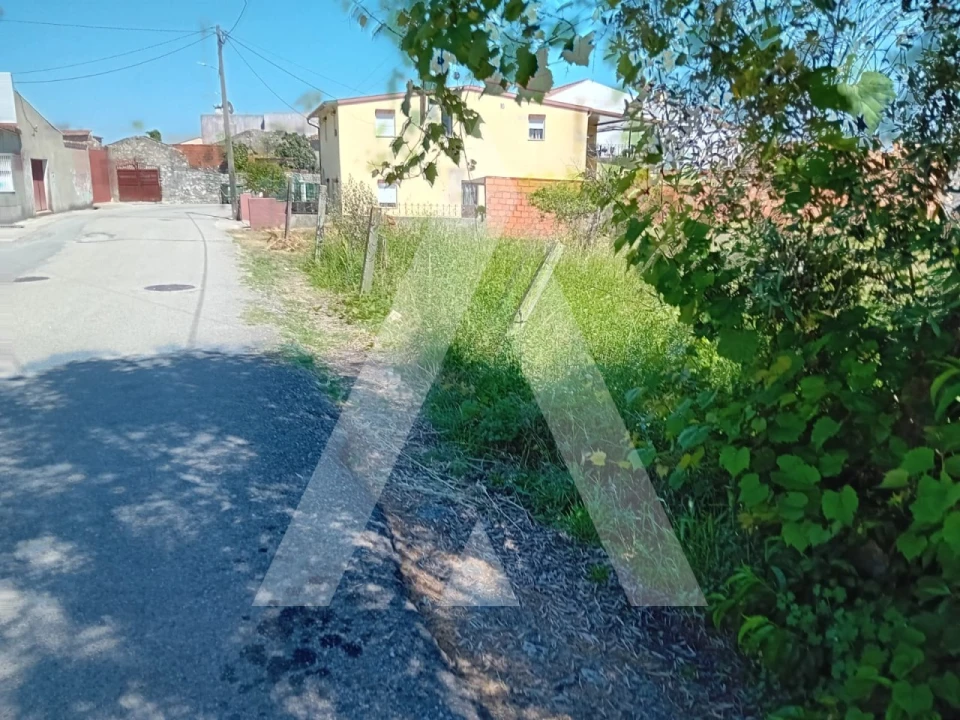 Terreno para Venda em Mealhada, Ventosa do Bairro e Antes Foto 5