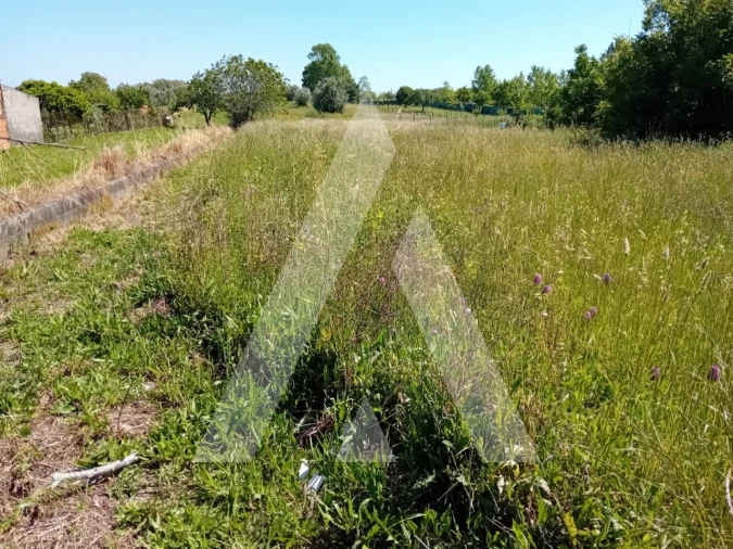 Terreno para Venda em Mealhada, Ventosa do Bairro e Antes
